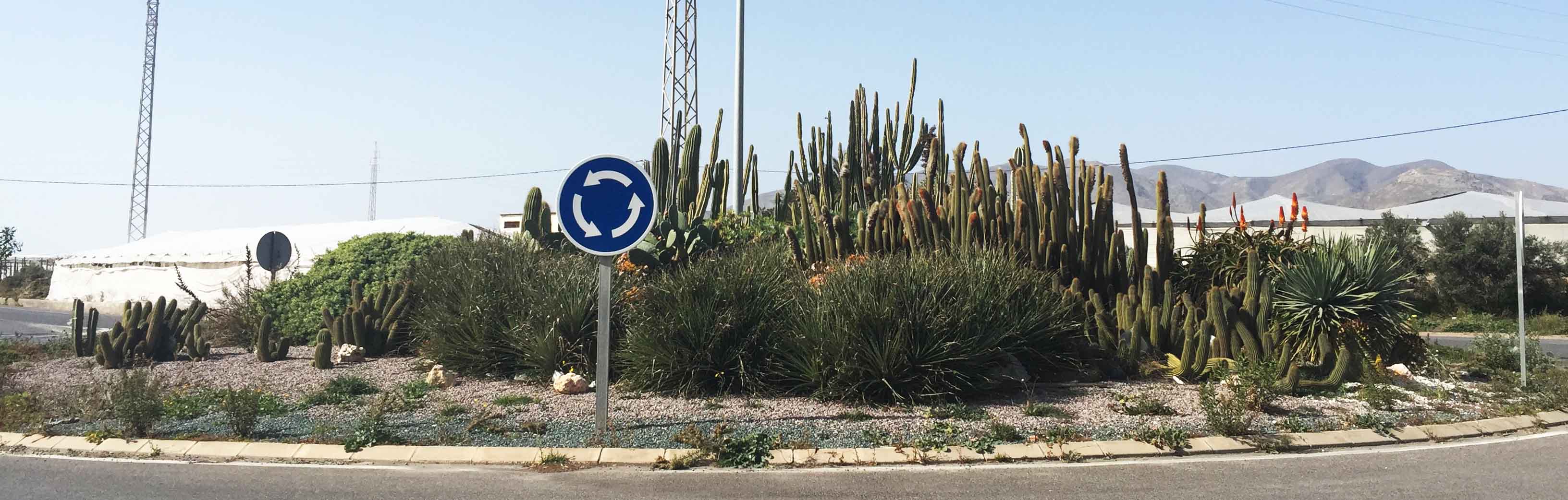 Rotonda Cactus Almería