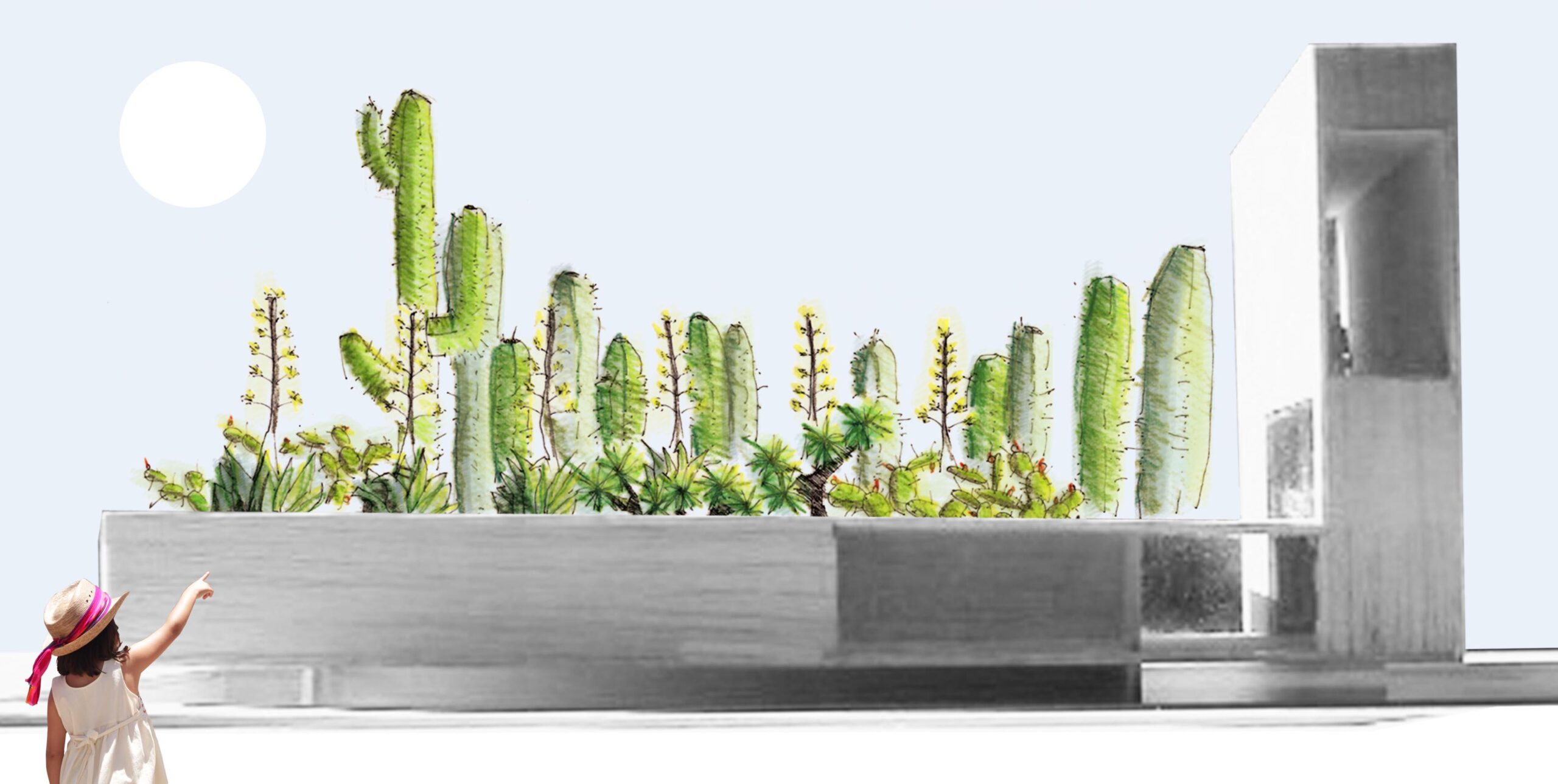 Proyecto de jardines - Jardín Xerófito