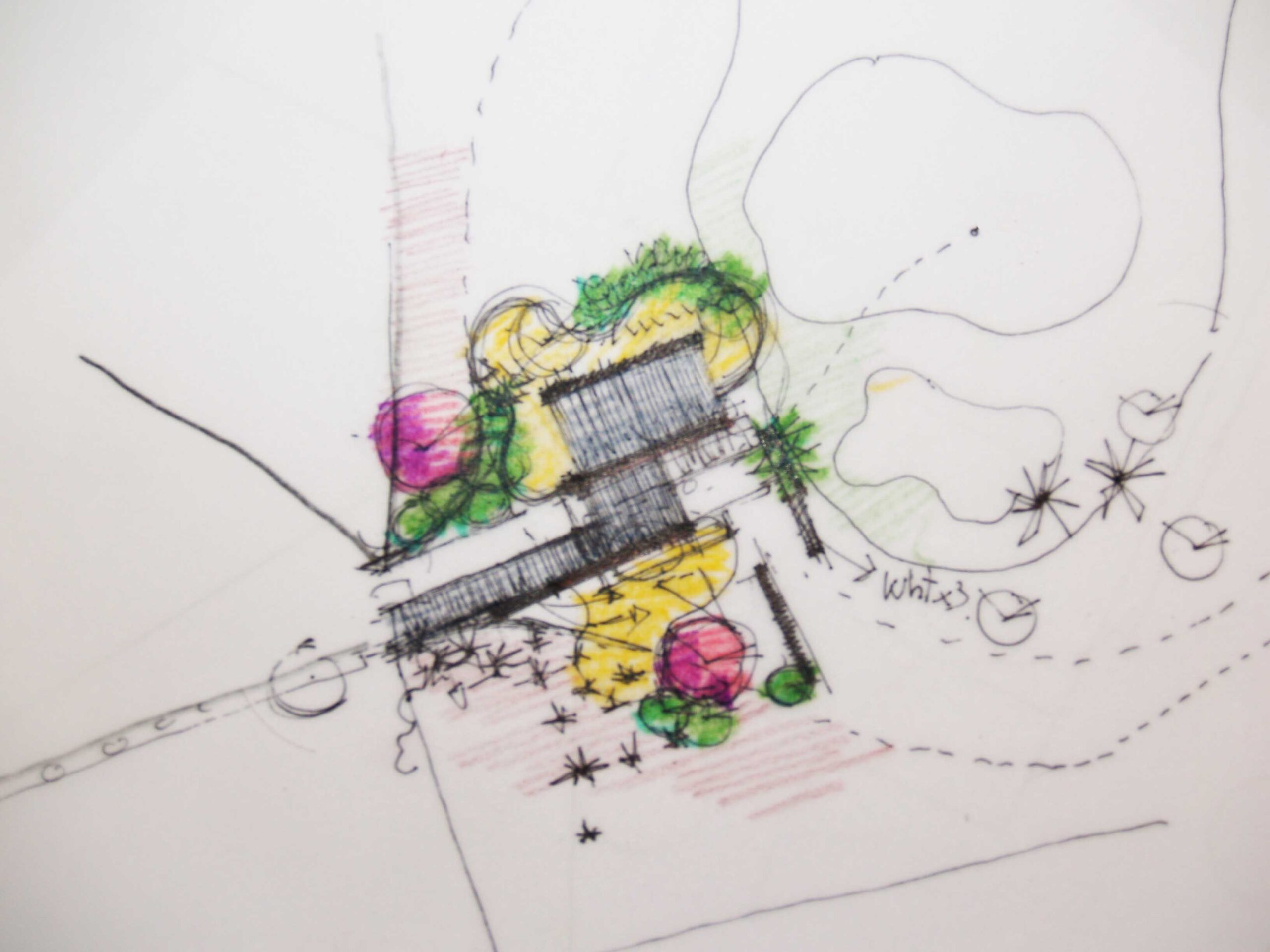 Proceso de Diseño de un Jardín