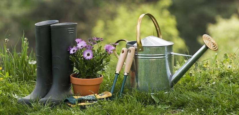 Proyecto de Jardinería: Vida en tus espacios exteriores